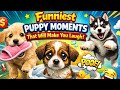 Funniest Puppy Moments That Will Make You Laugh! 🐾