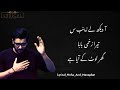 Aa dekh le zainab sa lyrics  19 ramzan  mir hassan mir noha