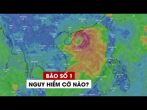 Bão số 1 nguy hiểm cỡ nào?