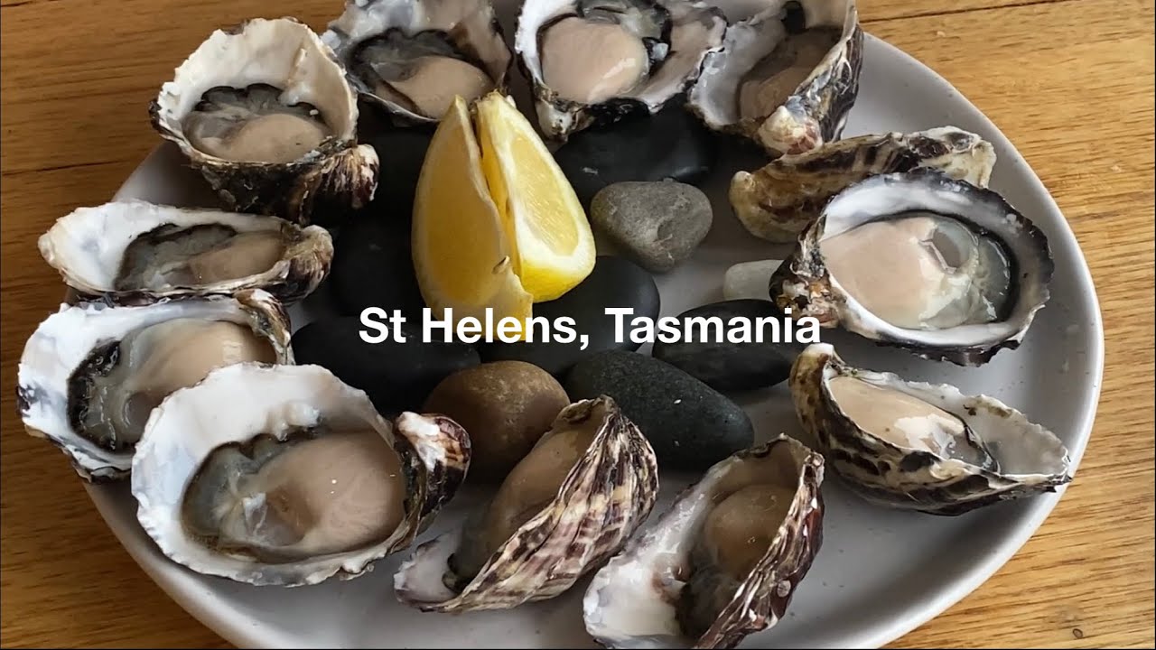 Delicious “Lease 65” Oysters, St Helens, Tasmania めっちゃ美味しい牡蠣! タスマニア州