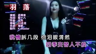 孟维来 《羽落(DJ名龙版)》KTV 导唱字幕 备有伴奏视频)