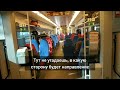 Лучшие места на 🚝Ласточку в Краснодар какое место выбрать?