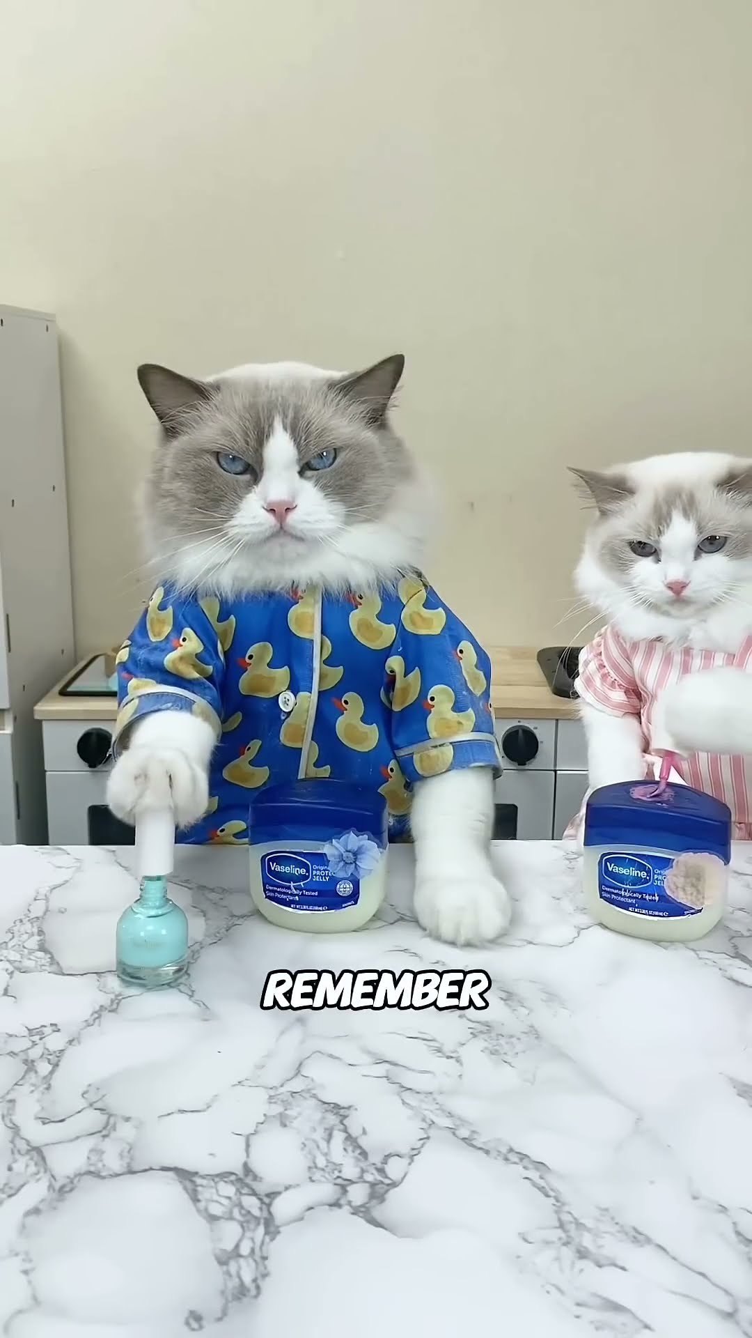 ?? Dive into Puff's beauty lab! He's mixing up a storm with Vaseline! #thatlittlepuff