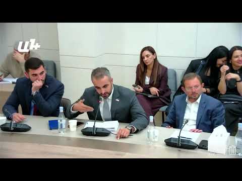 Մենք եթե էսօր բերենք էդ մարդկանց, կգան, կջրեն, կէթան․ Միքայելյան