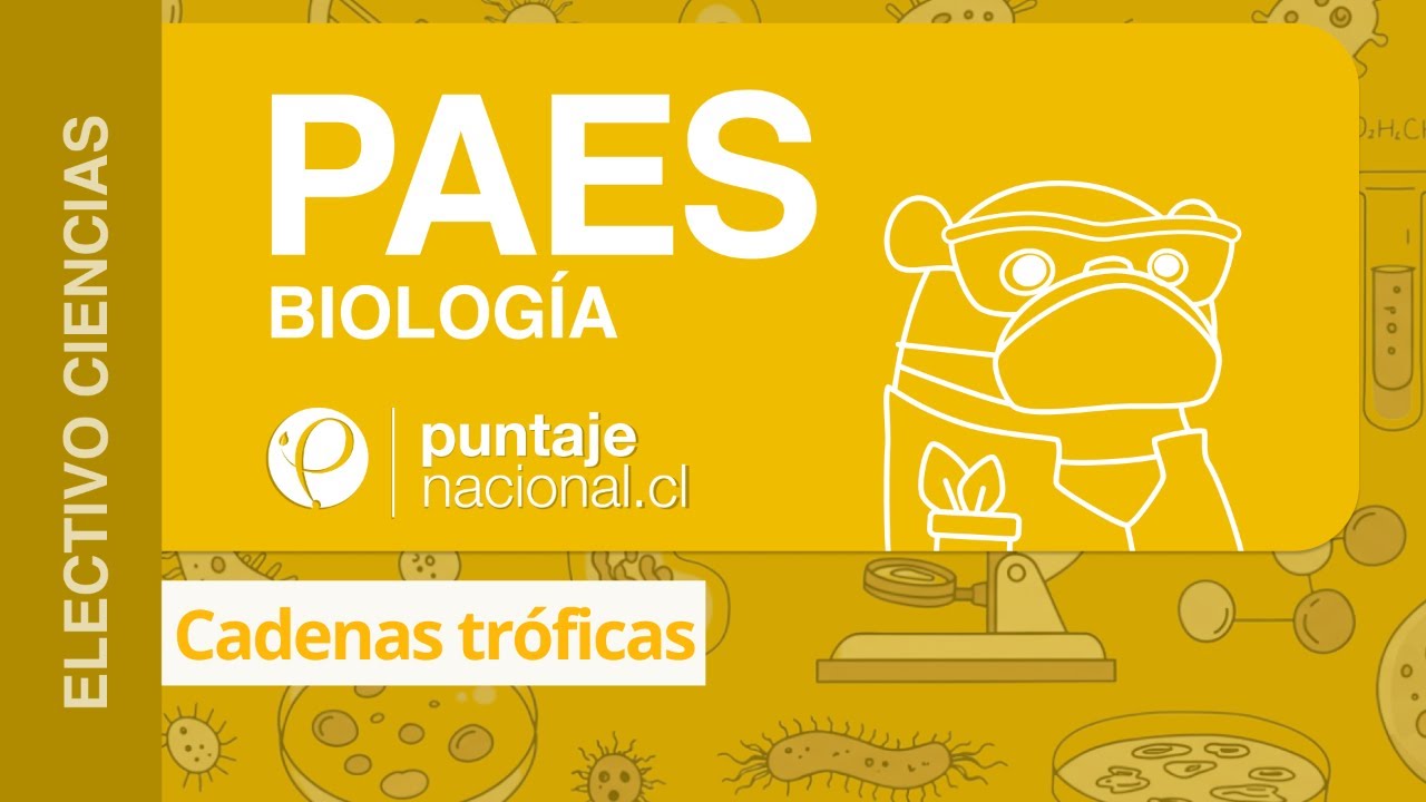 PAES | Biología | Cadenas tróficas