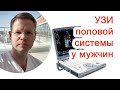 УЗИ половой системы у мужчин / Доктор Черепанов