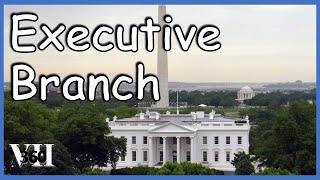 Reviewing the Executive Branch
