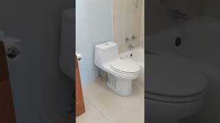 Rental Tour - 1 Bed, 1 Bath - Chicago