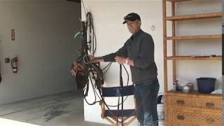 How to Use the Reins to Get the Most From Your Horse | Owen Rinehart