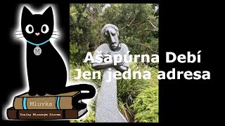 Ašapúrna Debí - Jen jedna adresa (Povídka) (Mluvené slovo CZ)