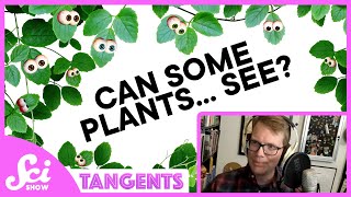 Sight | SciShow Tangents Podcast