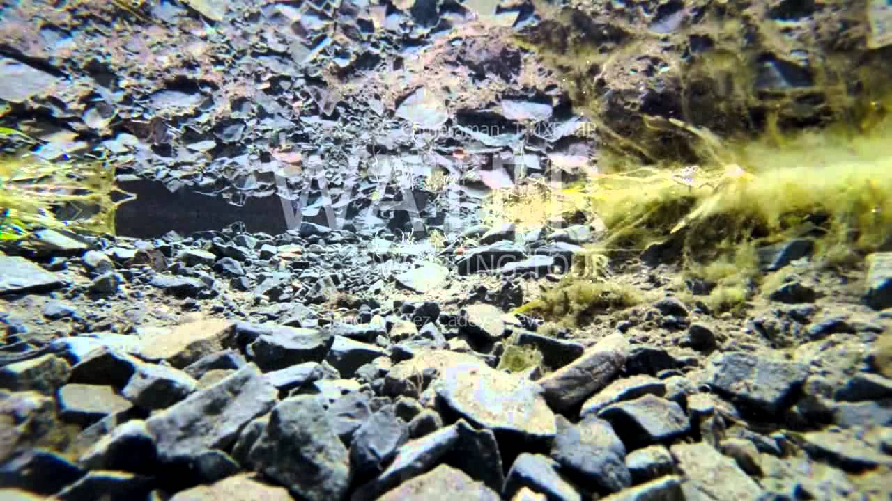 video editing software free ihee zuraglal