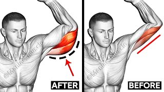 Best Triceps Workout | Lateral Head  Long Head  Medial Head | Maniac Muscle