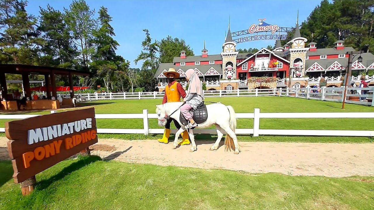 Naik Kuda Poni di Cimory Dairyland Puncak