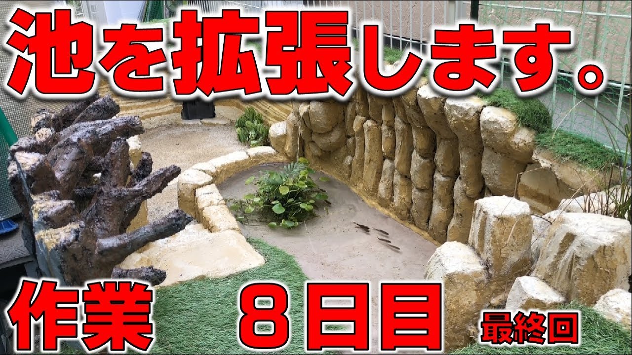 庭池を拡張します。作業８日目【2019#020】