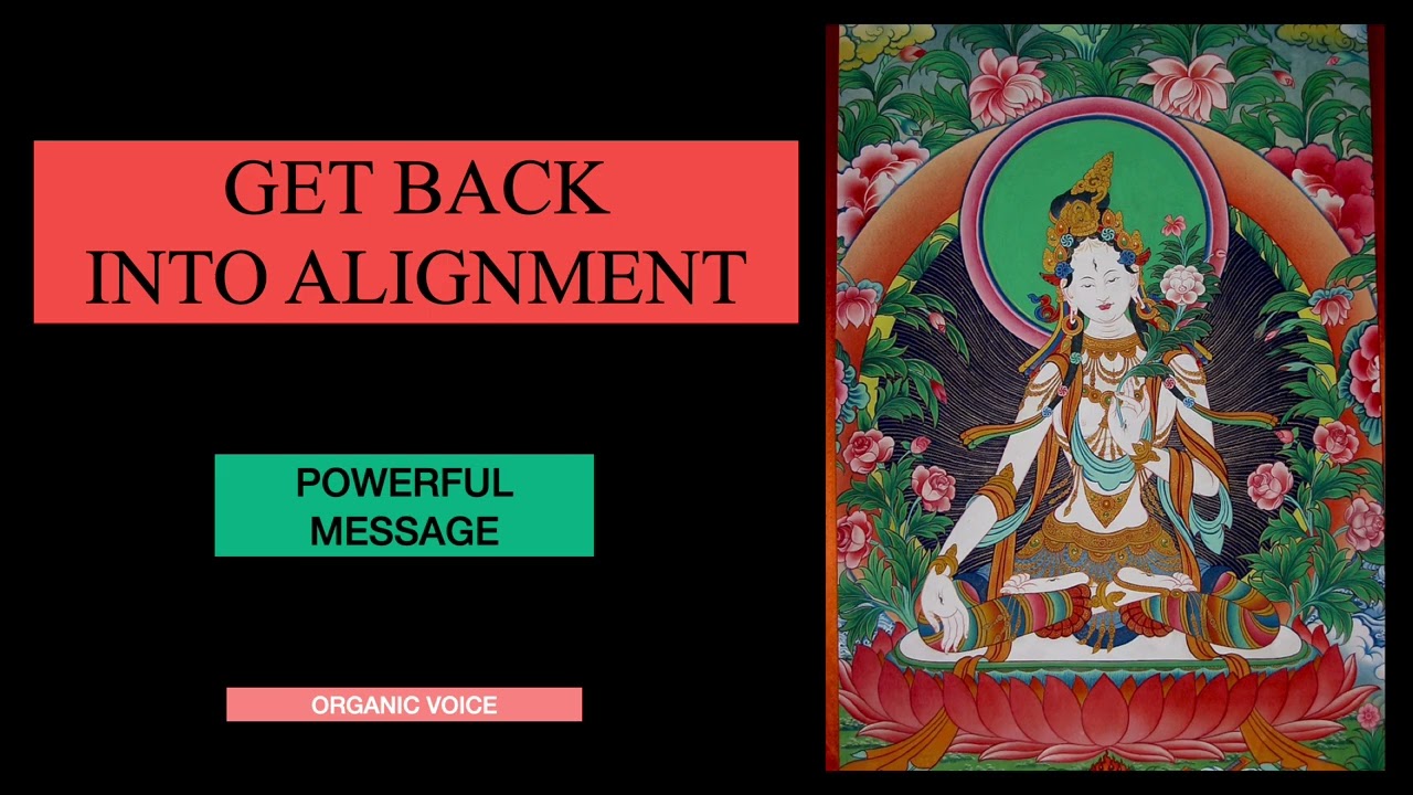 GET BACK INTO ALIGNMENT!  Take BACK Your Nervous System and Emotions