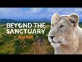 OUR WILDEST MISSION TO DATE | Beyond The Sanctuary