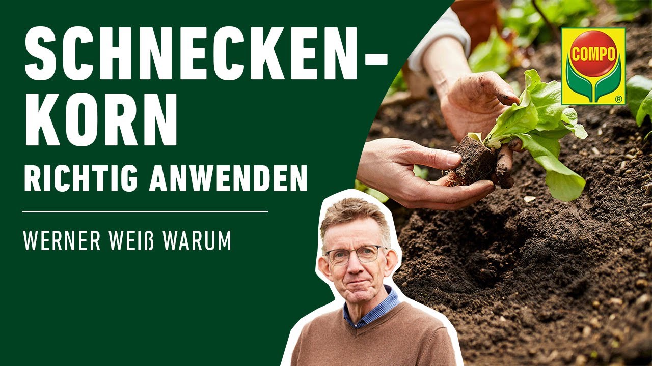 COMPO Schneckenkorn