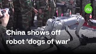 China shows off robot 'dogs of war' at joint military exercise with Cambodia | Radio Free Asia (RFA)