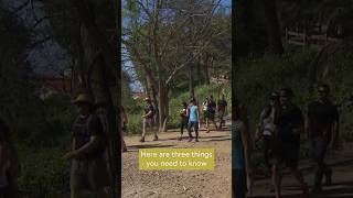 Before Selfie Sticks & Doggie Strollers: A Look at SoCal's Hiking History | Lost LA