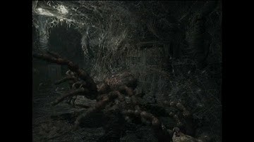 Resident Evil Remake on PC Dolphin Emulator Full Speed OpenGL x16 AA Bossfight Black Widow