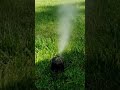 Blow out your sprinkler system #shorts