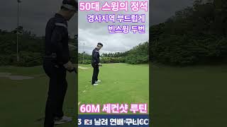 60M 세컨샷 루틴! #골프 #golf #golfswing #필드골프 #골프레슨