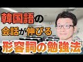 【韓国語:形容詞編】アウトプット実践版/No.1-25/元通訳士がオススメする学習法！