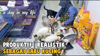 A Day In My Life At Bubu Cat's House by Bubu Story The Cat 1,148 views 1 month ago 14 minutes, 33 seconds