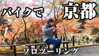 【紅葉ツー】半日で京都市の行きたいところをバイクで巡る【三都物語】