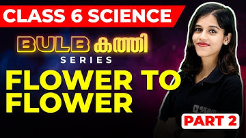 Class 6 Basic Science Christmas Exam | Flower to Flower Part 2/പൂവിൽ നിന്നു പൂവിലേക്ക് | Exam Winner
