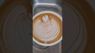 Rosetta latte art