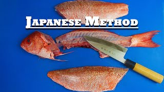 How To Fillet A Snapper On Your First Try!!