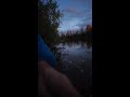 Рыбалка после дождя. Отдых на реке. Астрахань 2024 #shorts