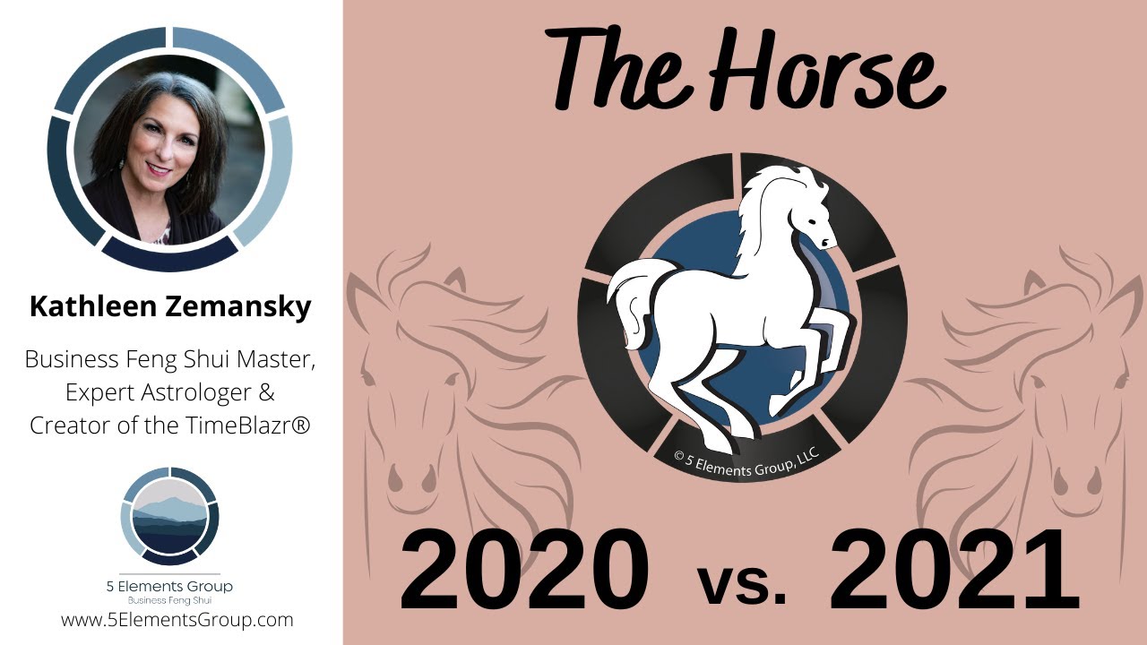 Гороскоп лошади на 2024 год мужчина. Козерог и лошадь. Лошадь-Козерог женщина. 2014 Дева лошадь. Лошадь с лошадью гороскоп.