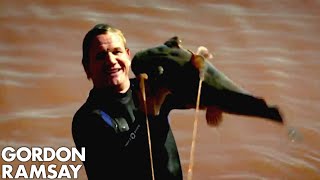 Catching Wild Catfish By Hand in Oklahoma - Gordon Ramsay