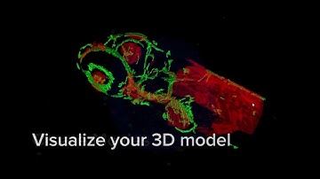 Generate interactive, 3D renderings from multiwell data sets