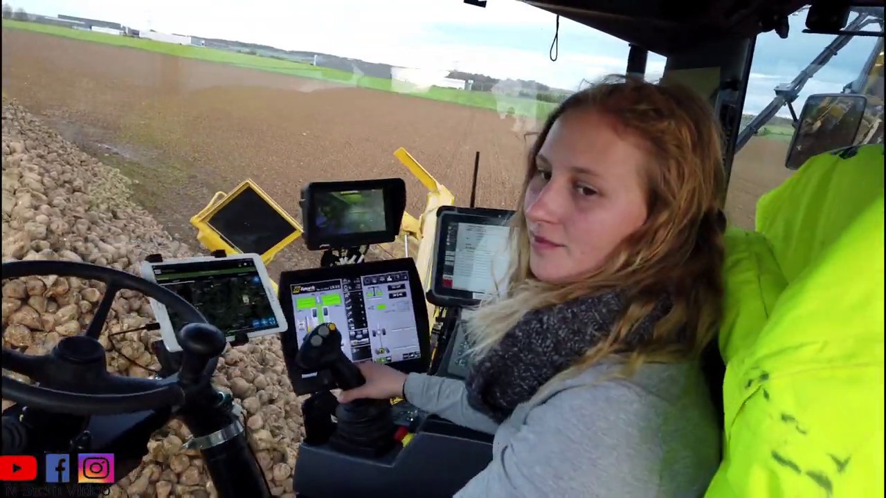 ROPA EURO MAUS 5 Rübenverladung - Zuckerrüben - sugar beet - Ernte 2019 - Rübenernte