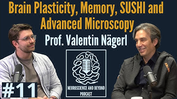 Decoding memory: plasticity, SUSHI and super-resolution microscopy with Prof. Valentin Nägerl