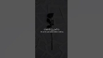 ﴿ لا تَحزَن إِنَّ اللَّهَ مَعَنا ﴾ عبد الرحمن مسعد| سورة التوبة