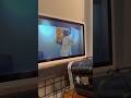 新曲「春うらら」配信中です🌸 #インディーズバンド #邦ロック #vivanzeden