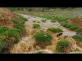 حلفت لاغادر الباحة وأسكن جبالن عسيرية فاضل الزهراني