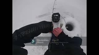 Panfishing A Manmade Pond