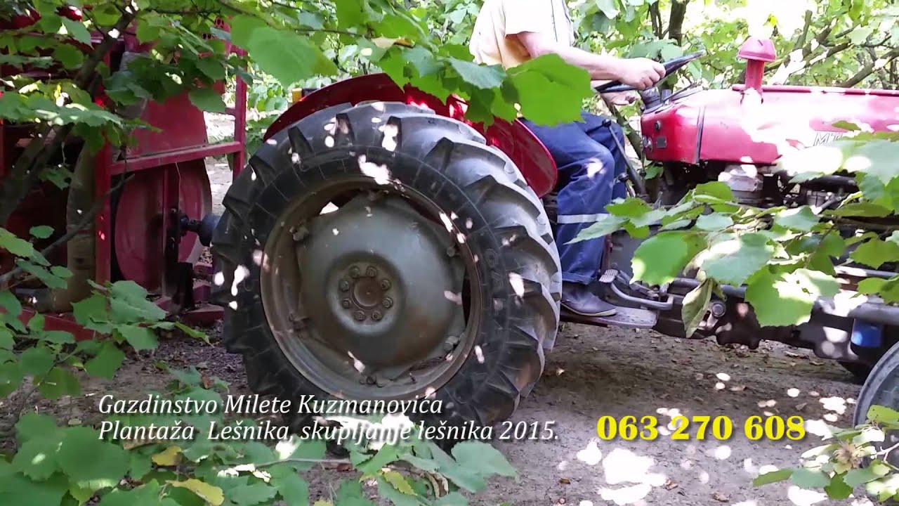 Sakupljanje lesnika 2015