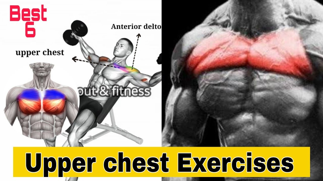 6 best upper cheats exercises for chest // upper chest workout - YouTube