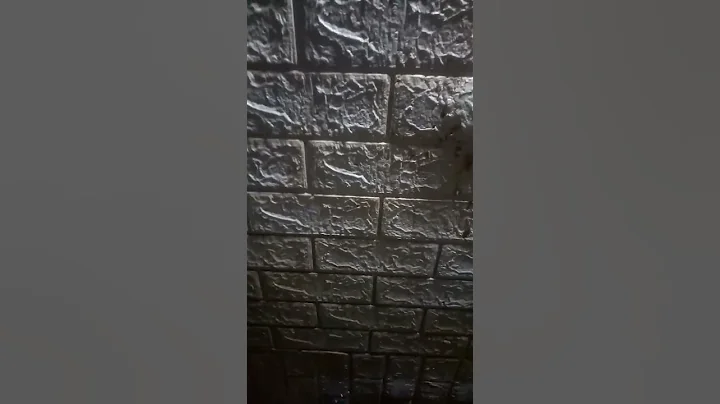 Trích đoạn video của jaygray về skibidi toilet