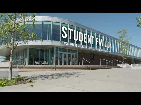 Whatcom V.I.E.W. | Campus Video