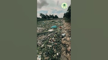 Đây là sông hay bãi rác?  #hanoixanh #donrac #cleanup #cleaning #shorts #trending #windnet