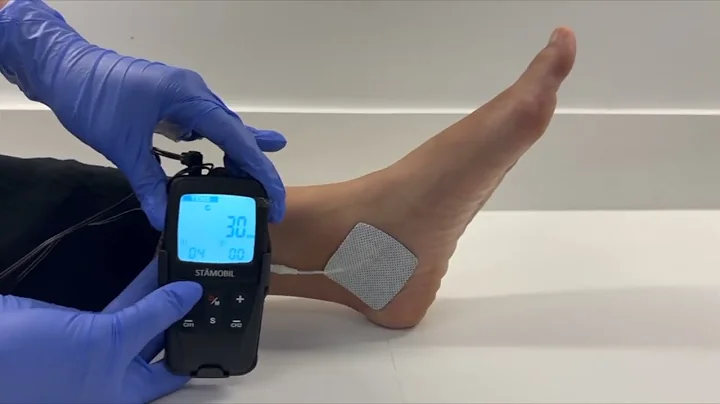 TTNS Demonstration 2024