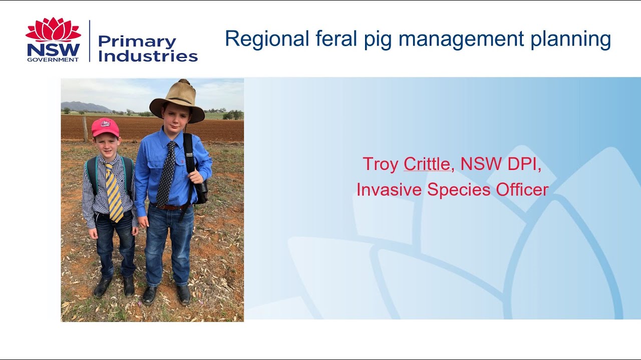 Regional Feral pig management planning - YouTube
